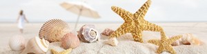 Sand Full Beach